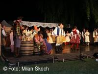 Jihočeský folklorní festival