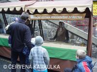 Království perníku 2010 - Výstava perníkového zvířectva