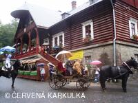 Království perníku 2010 - příjezd krále perníku (bohužel v dešti)