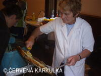 Medobraní s dětským dnem u Perníkové chaloupky 2011