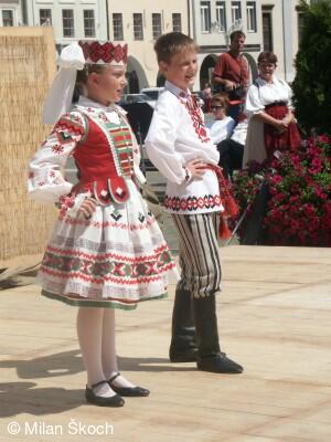 Jihočeské folklorní sdružení