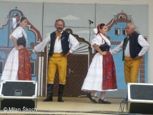 Jihočeské folklorní sdružení