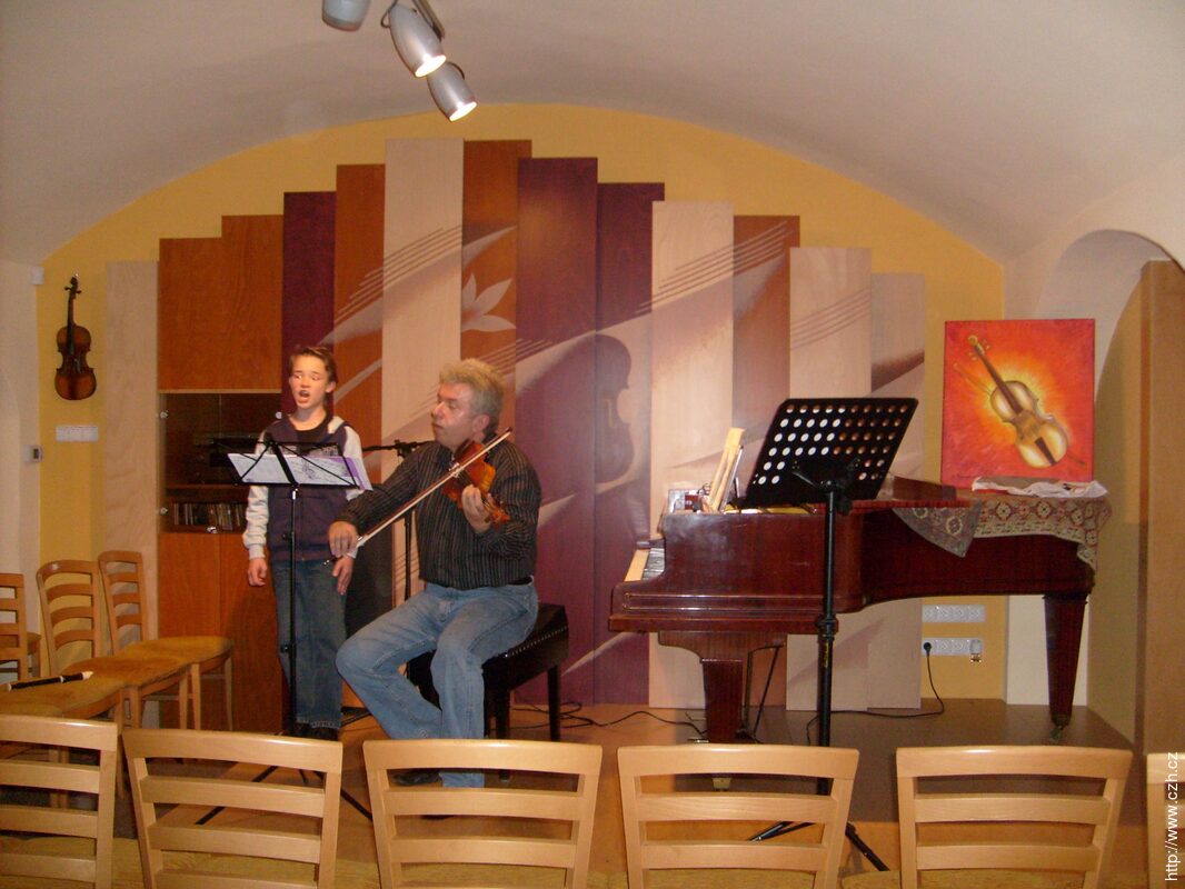Jihočeské folklorní sdružení